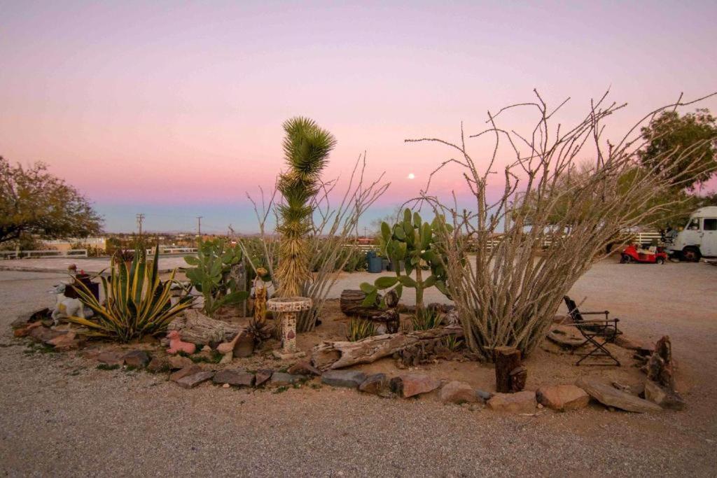 Joshua Tree Ranch House Motel - Downtown - Room #6 Extérieur photo